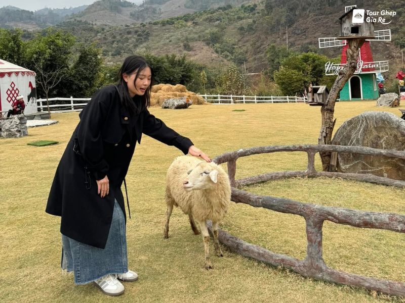 moc-chau-mua-dong-moc-chau-happy-land.jpg (136 KB)