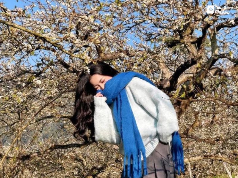 moc-chau-mua-dong.jpg (172 KB)