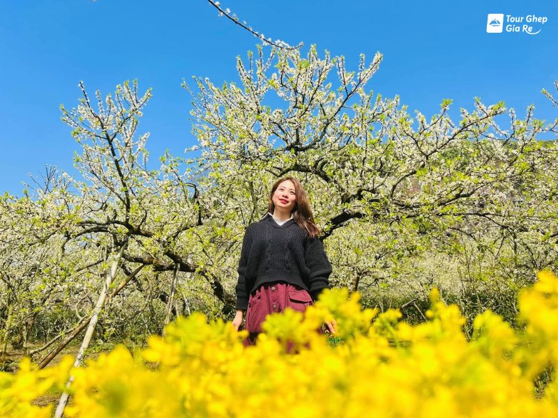 moc-chau-mua-hoa-man-4.jpg (143 KB)