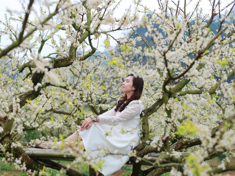 moc-chau-mua-hoa-man-5.jpg (131 KB)