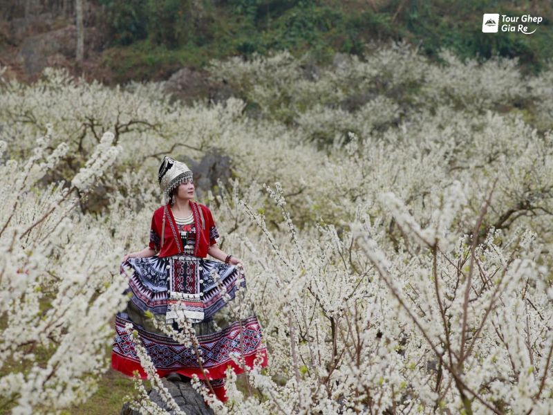 moc-chau-mua-hoa-man-ban-pa-phach.jpg (120 KB)