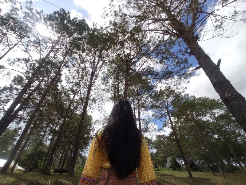 moc-chau-mua-hoa-man-rung-thong-ban-ang.jpg (151 KB)