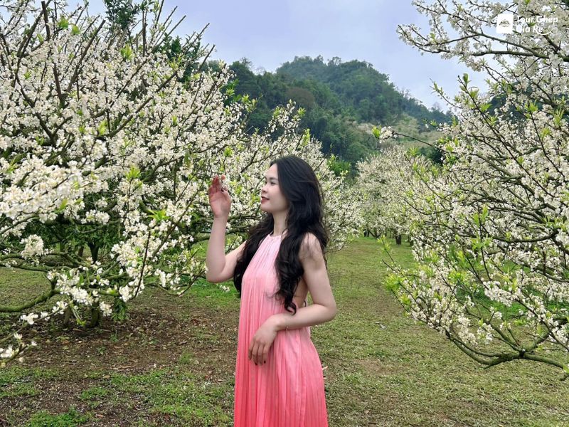 moc-chau-mua-hoa-man-thung-lung-na-ka.jpg (185 KB)