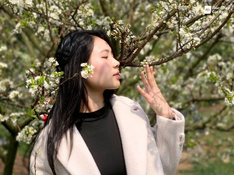 moc-chau-mua-hoa-man-tieu-khu-cho-long.jpg (95 KB)