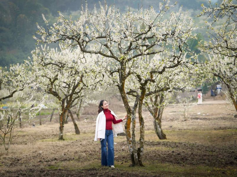 moc-chau-mua-hoa-man-trang-phuc.jpg (142 KB)