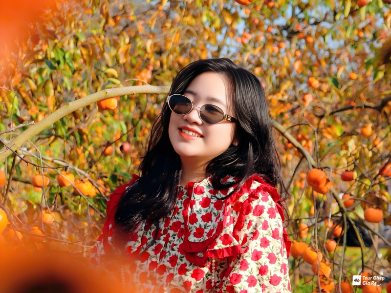 moc-chau-mua-hong-chin-7.jpg (468 KB)