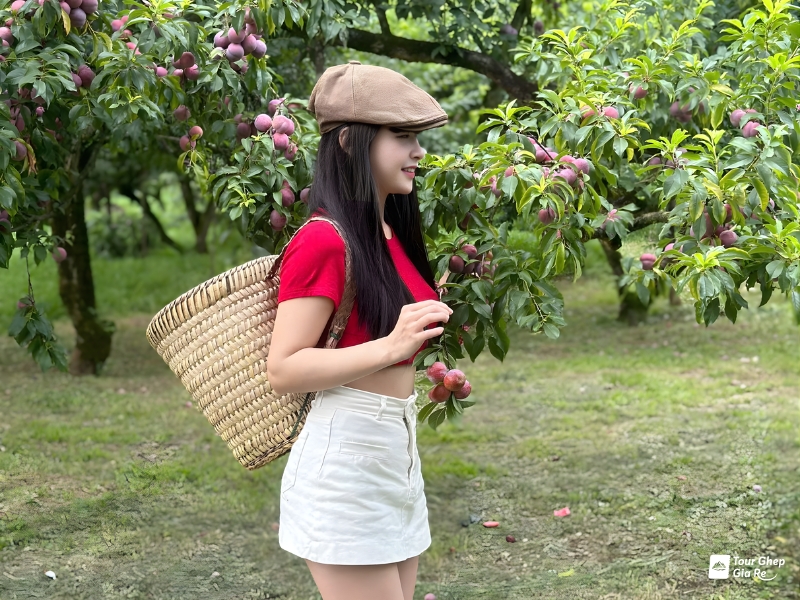 moc-chau-mua-man-chin-6.jpg (491 KB)