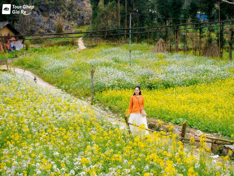 moc-chau-mua-thu-2.jpg (605 KB)