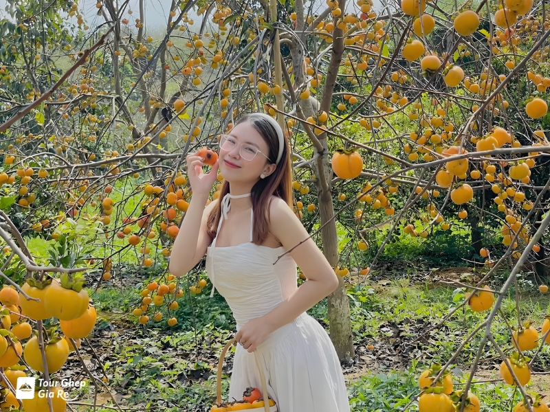 moc-chau-mua-thu-3.jpg (646 KB)