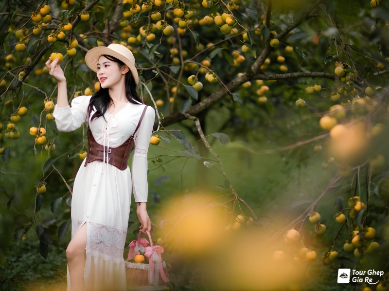 moc-chau-mua-xuan-14.jpg (341 KB)