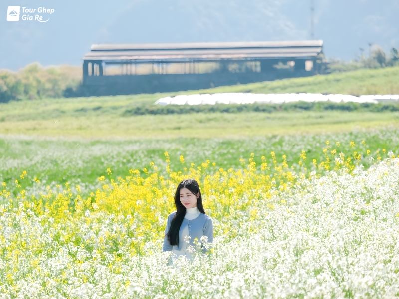 moc-chau-mua-xuan-15.jpg (396 KB)