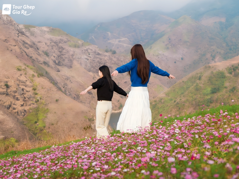 moc-chau-mua-xuan-2.jpg (430 KB)