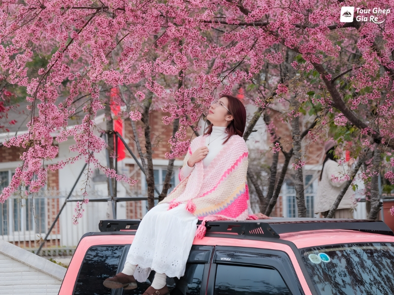 moc-chau-mua-xuan-3.jpg (518 KB)