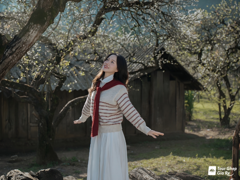 moc-chau-mua-xuan-4.jpg (415 KB)