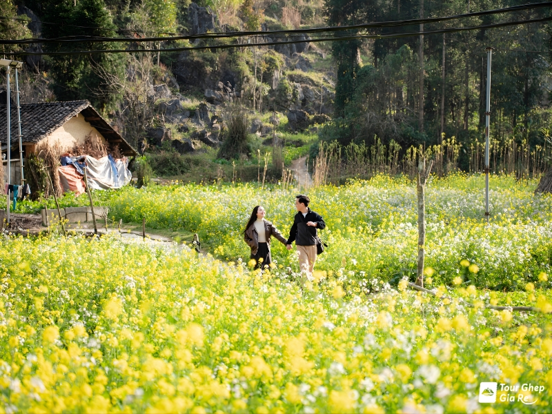 moc-chau-mua-xuan-5.jpg (595 KB)