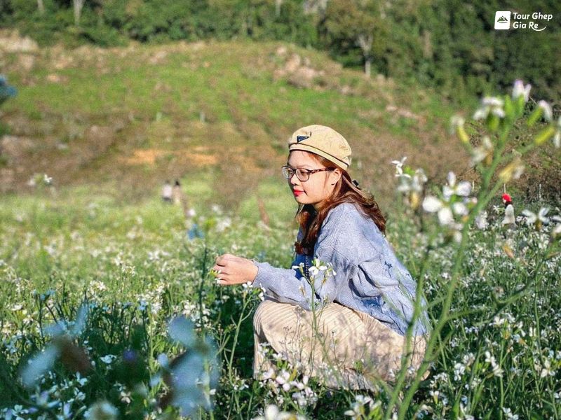 moc-chau-thang-12-4.jpg (123 KB)