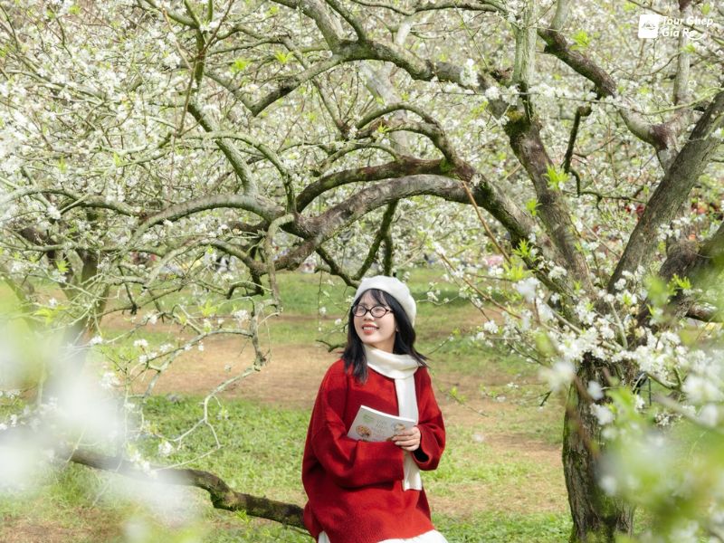 moc-chau-thang-12-5.jpg (142 KB)