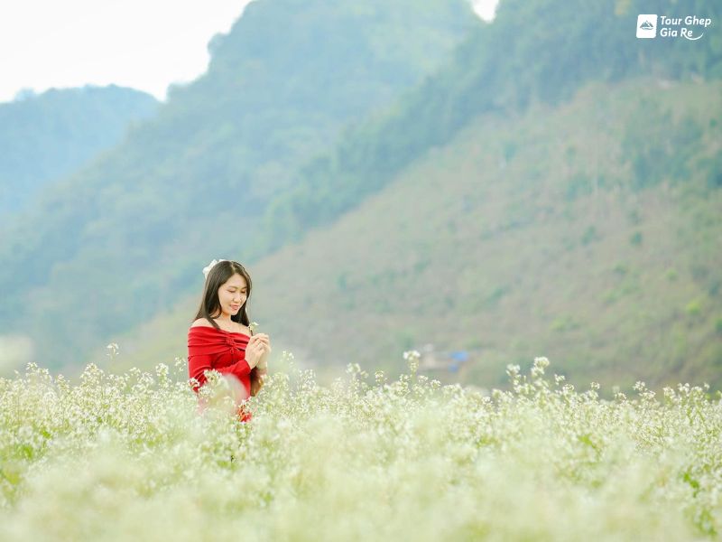 moc-chau-thang-12-6.jpg (51 KB)