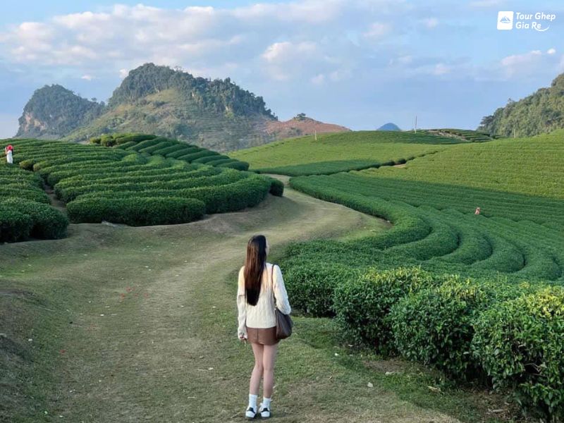 moc-chau-thang-12-9.jpg (99 KB)