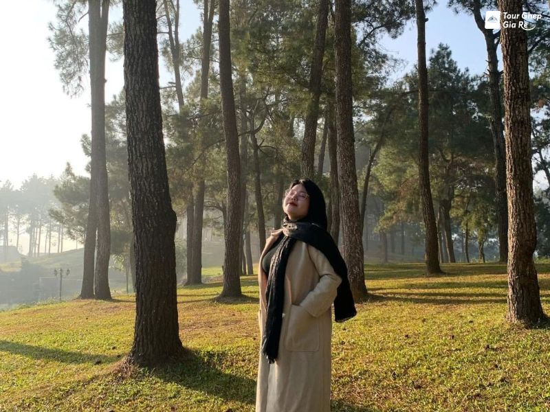 moc-chau-thang-12-rung-thong-ban-ang.jpg (127 KB)