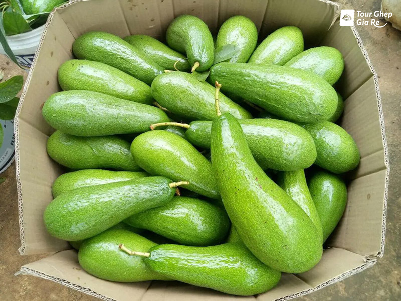 moc-chau-thang-8-6.jpg (197 KB)