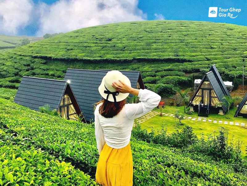 moc-chau-thang-8-7.jpg (261 KB)