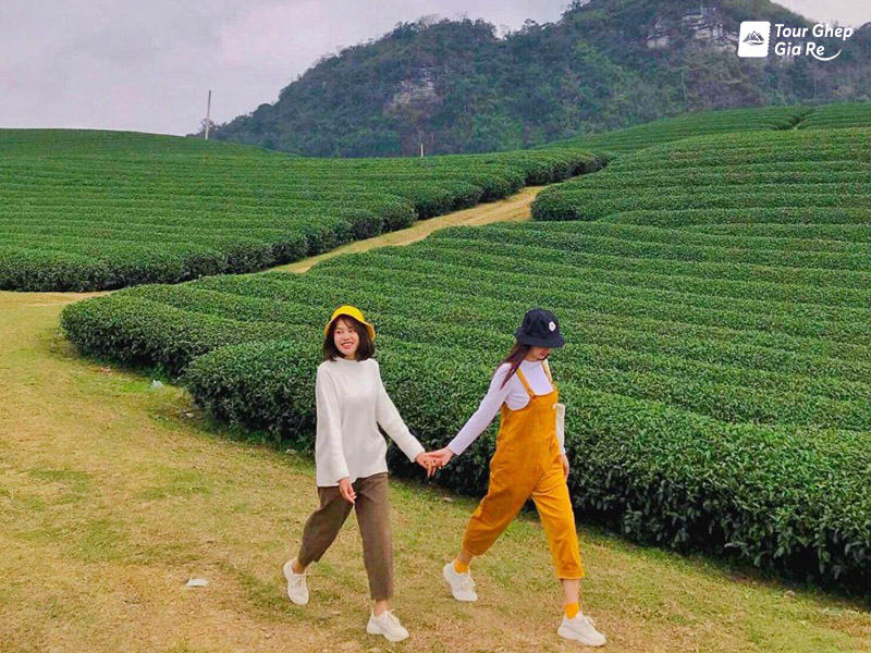 moc-chau-thang-8.jpg (226 KB)