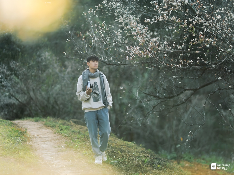 mua-hoa-mo-moc-chau-4.jpg (395 KB)