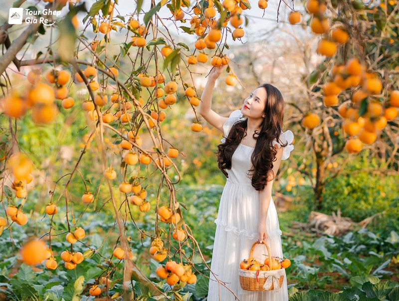 nen-di-thac-nang-tien-hay-thac-chieng-khoa-7.jpg (235 KB)