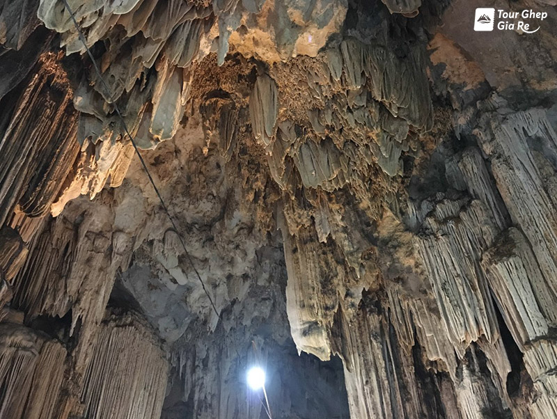 ngu-dong-ban-on-1.jpg (227 KB)