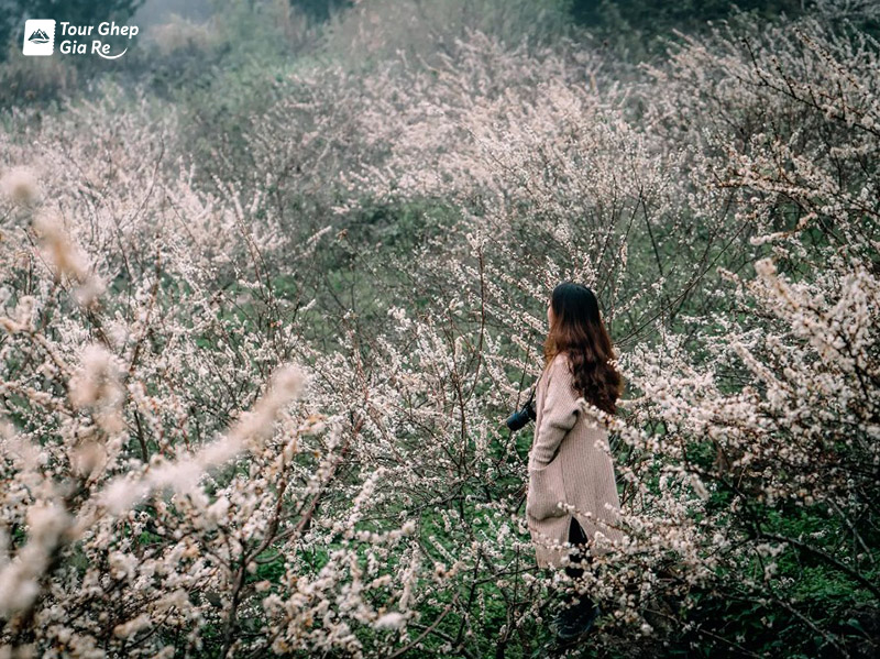 ngu-dong-ban-on-4.jpg (265 KB)