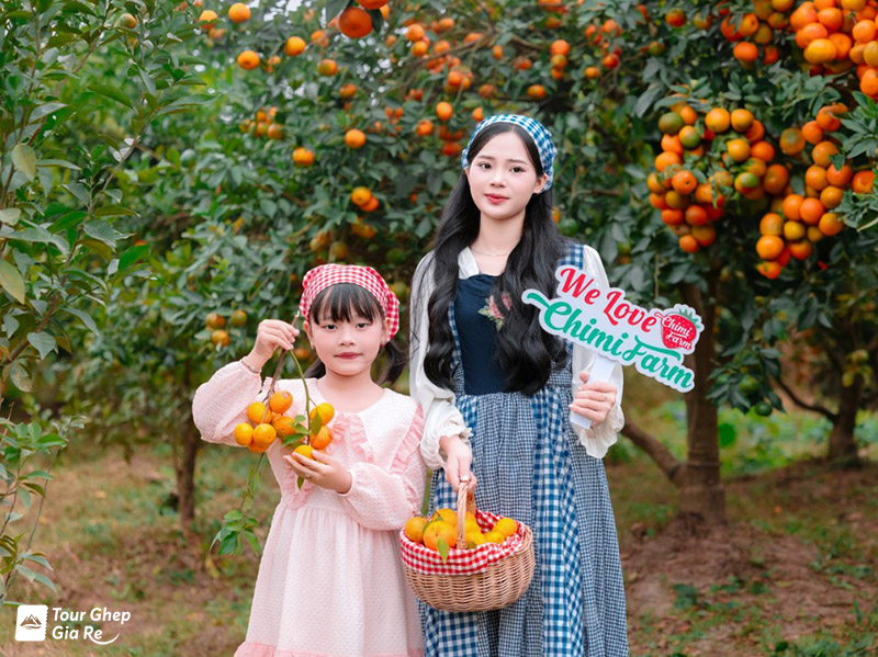 nong-trai-chimi-farm-moc-chau-1.jpg (221 KB)