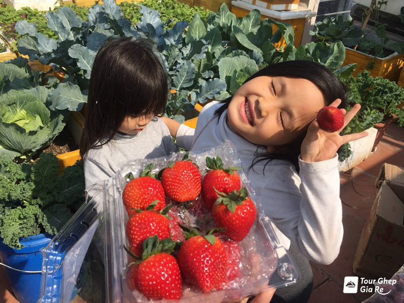 nong-trai-chimi-farm-moc-chau-2.jpg (207 KB)