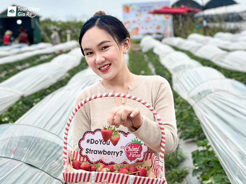 nong-trai-chimi-farm-moc-chau-6.jpg (163 KB)