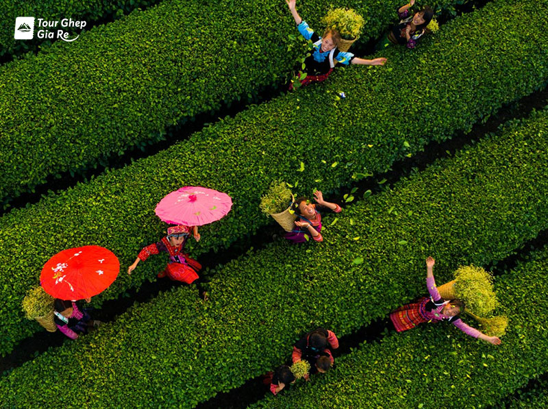 phuot-moc-chau-bang-xe-may-6.jpg (270 KB)