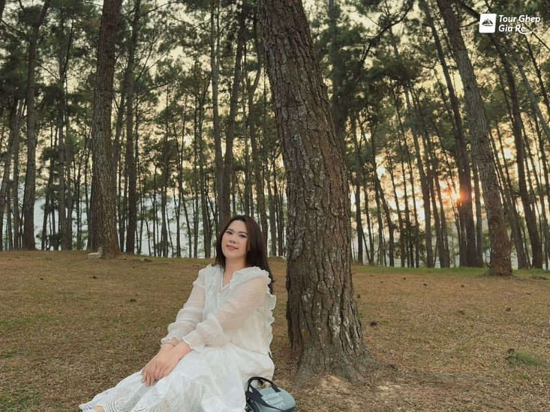 rung-thong-ban-ang-2.jpg (153 KB)