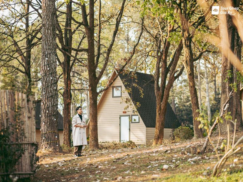 rung-thong-ban-ang-3.jpg (163 KB)