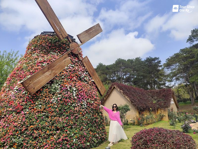 rung-thong-ban-ang-7.jpg (150 KB)