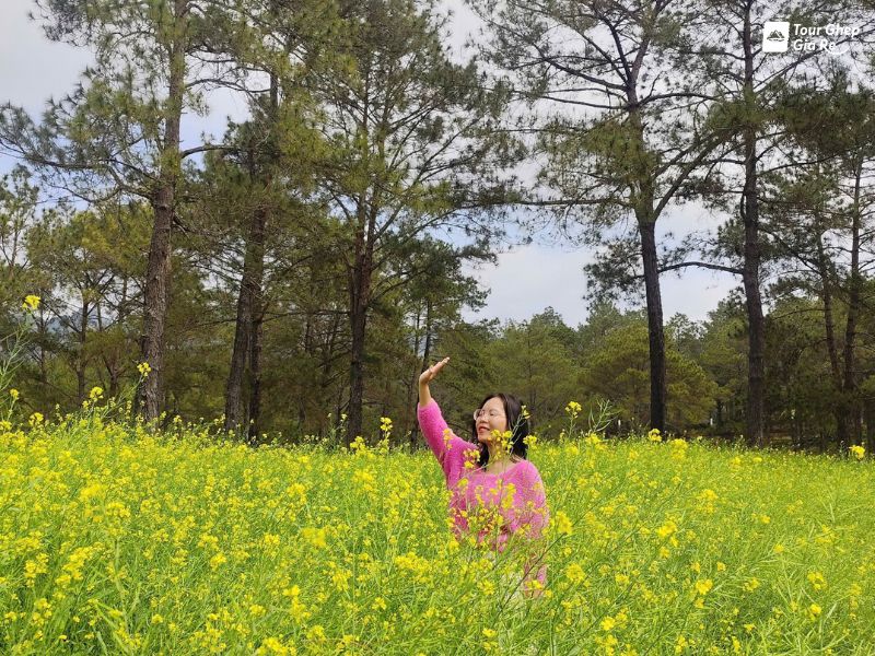 rung-thong-ban-ang-8.jpg (182 KB)