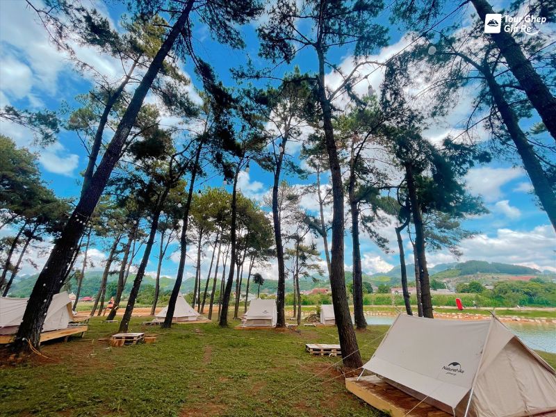 rung-thong-ban-ang-cam-trai.jpg (162 KB)