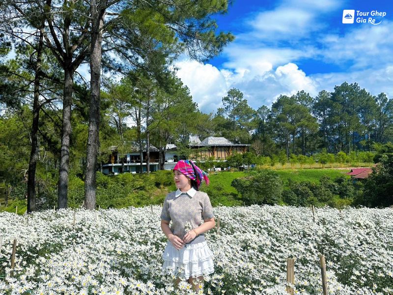 rung-thong-ban-ang-thoi-diem-ly-tuong-nhat.jpg (185 KB)