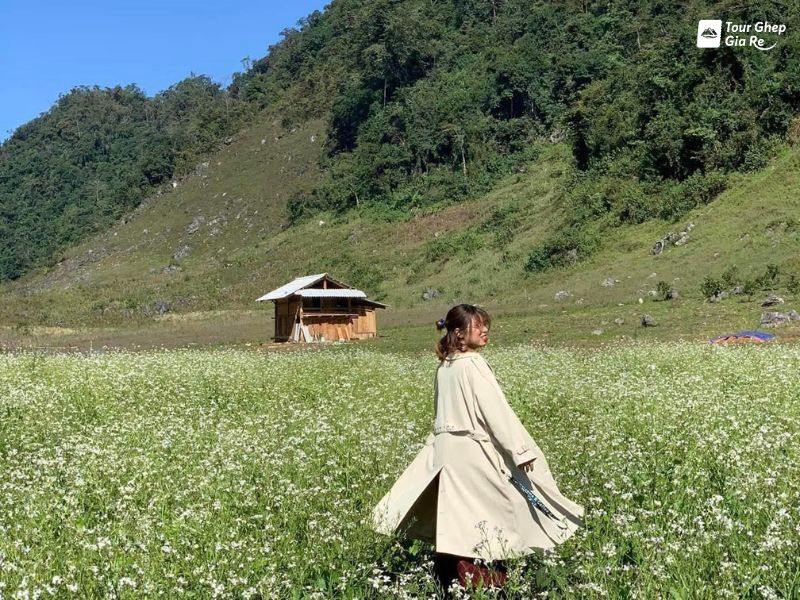 ban-pa-phach.jpg (161 KB)