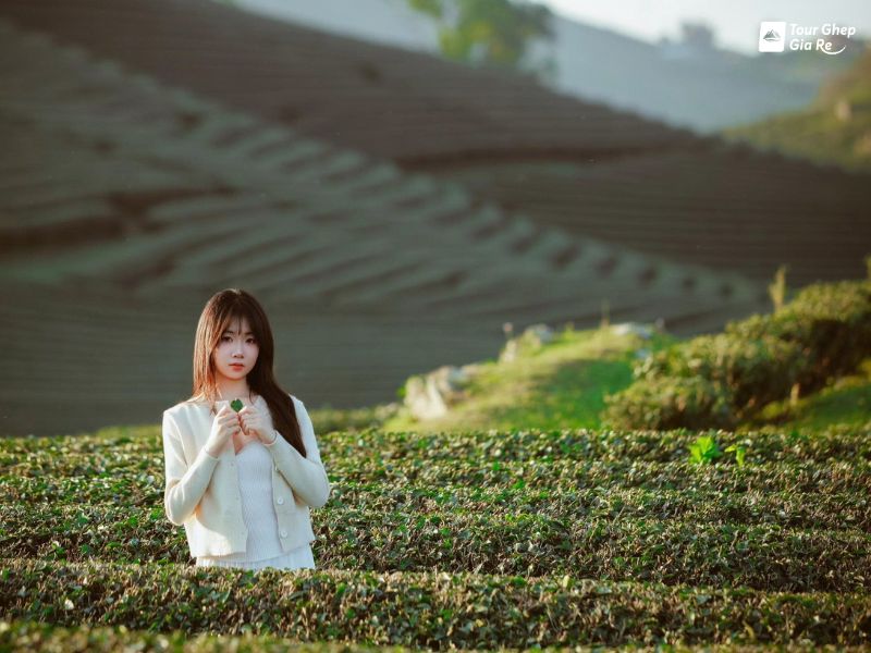 doi-che-moc-chau.jpg (87 KB)