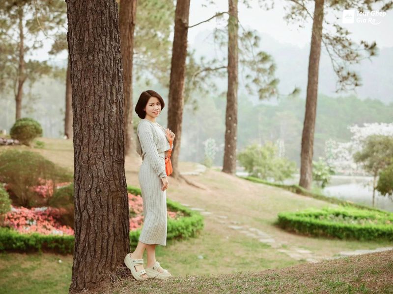 rung-thong-ban-ang.jpg (94 KB)