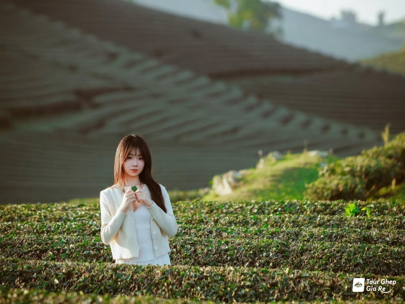 thac-dai-yem-co-gi-11.jpg (350 KB)