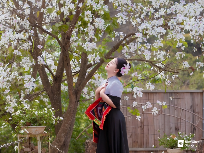 thac-dai-yem-co-gi-13.jpg (485 KB)