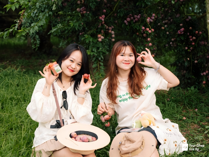 thi-tran-moc-chau-4.jpg (418 KB)