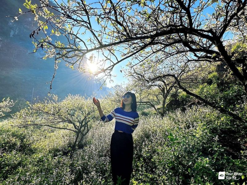 ban-pa-phach.jpg (208 KB)