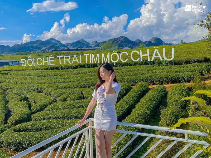 doi-che-trai-tim-moc-chau.jpg (154 KB)