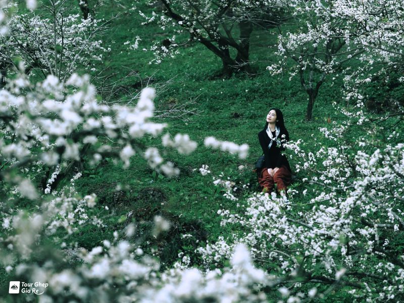 thung-lung-man-mu-nau-2.jpg (156 KB)